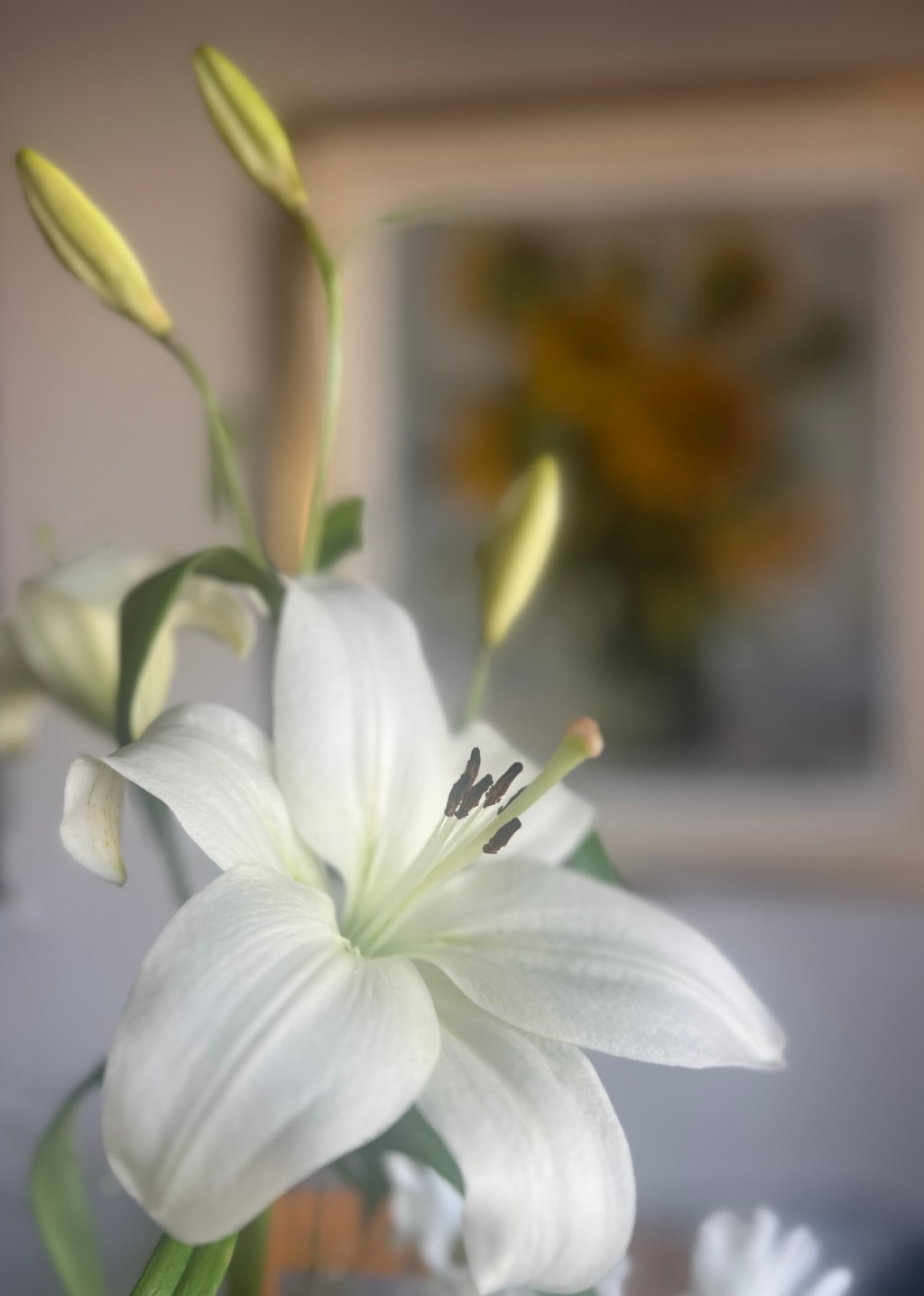 Mirar una flor puede ser otra forma de&nbsp;escucharse